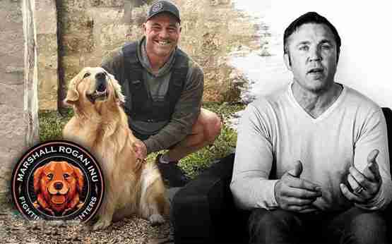 MRI币价格多少？MRI币价格最新行情